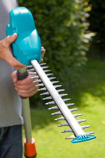 Hecke schneiden leicht gemacht - Gartenbau – Landschaftsbau Kötter